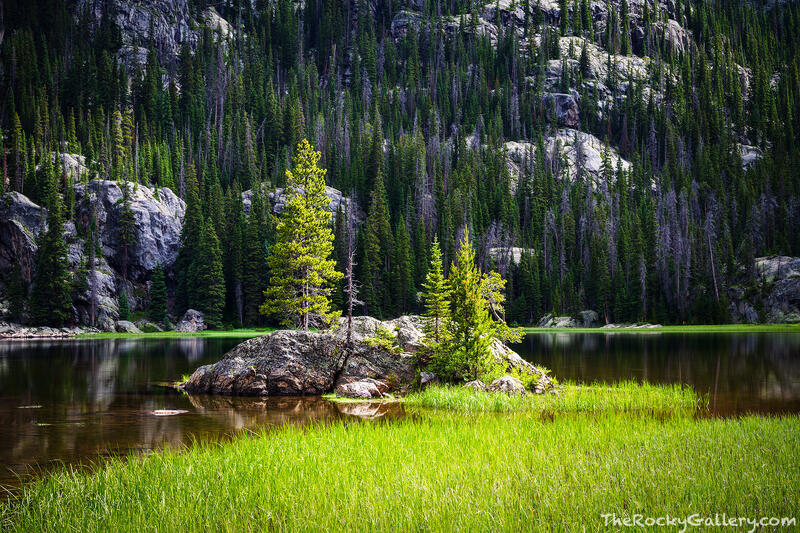 Spotlight on Lone Pine 