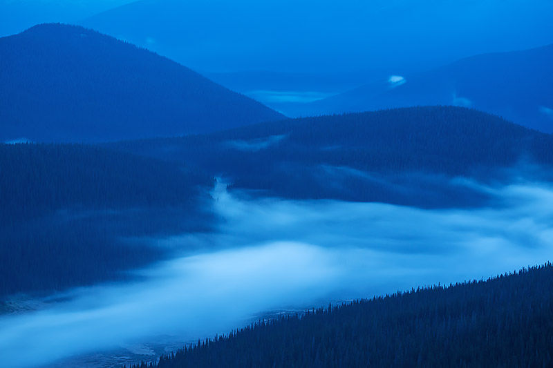 Poudre In Blue