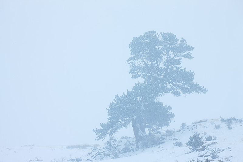 Moraine Perseverance 