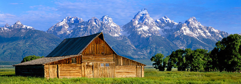 Mormon Row Panoramic
