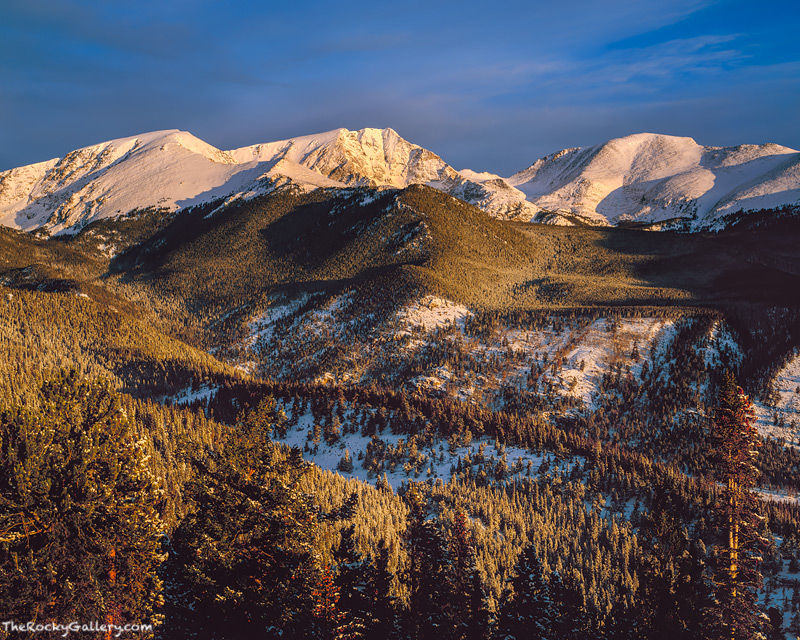 Winter Sunrise, Mummy Range