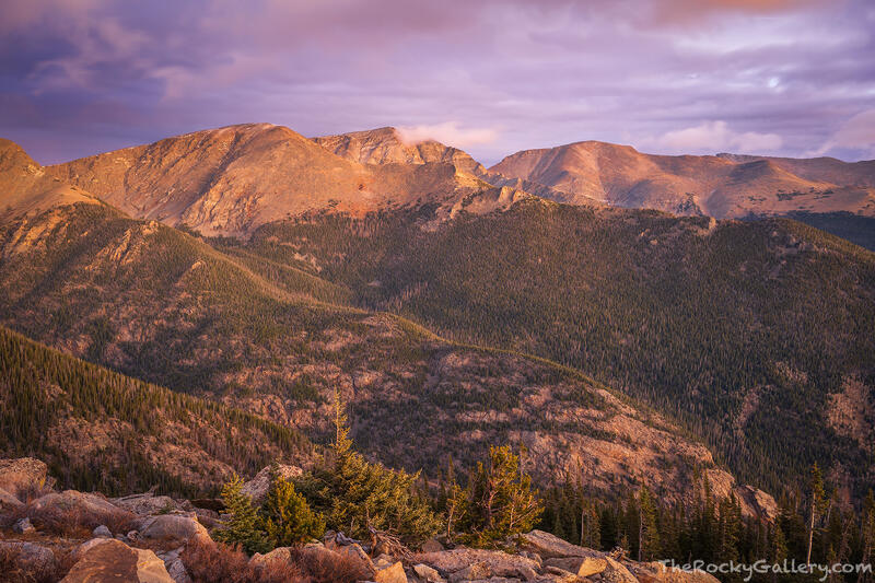 The Glow Before The Snow 