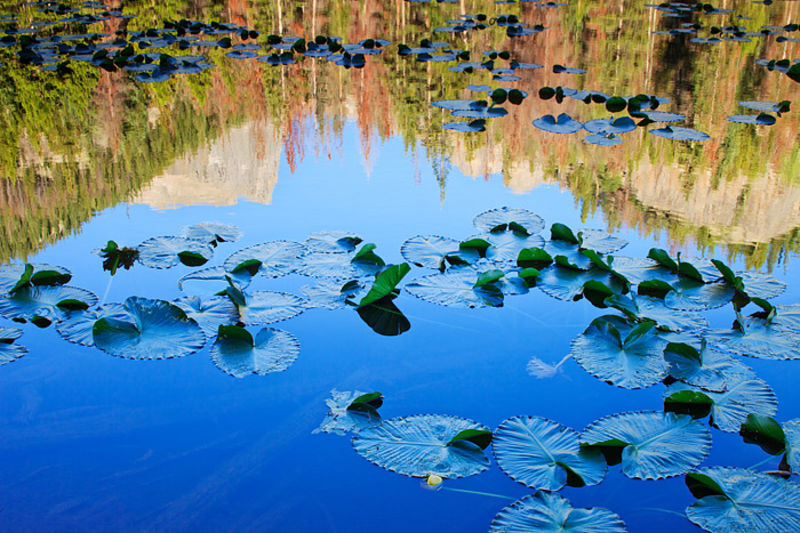 Reflections on Nymph Lake