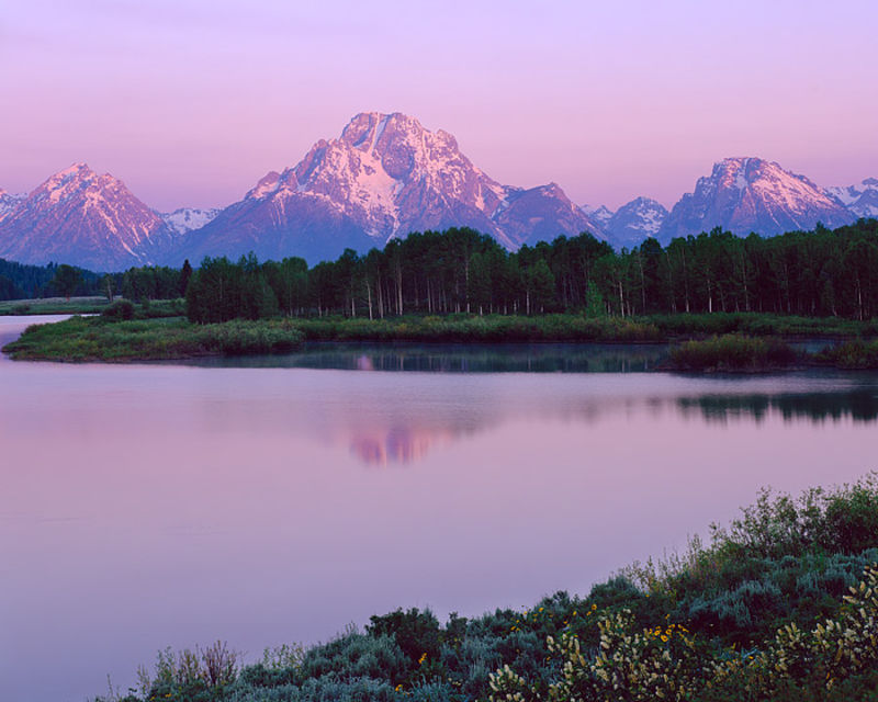 Mt. Moran from Oxbow Bend