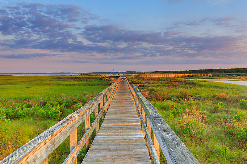 Boardwalk Dreams 