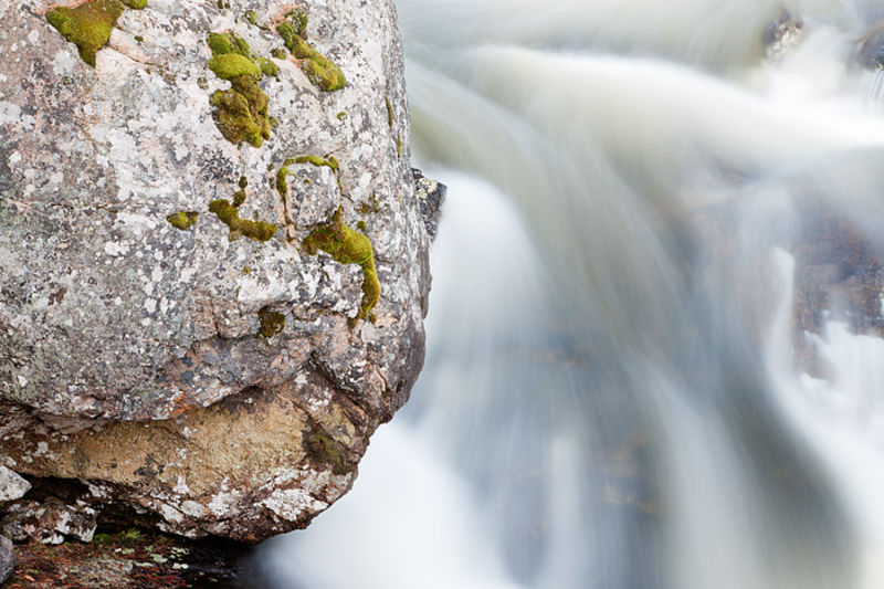 Yin And Yang On The Saint Vrain