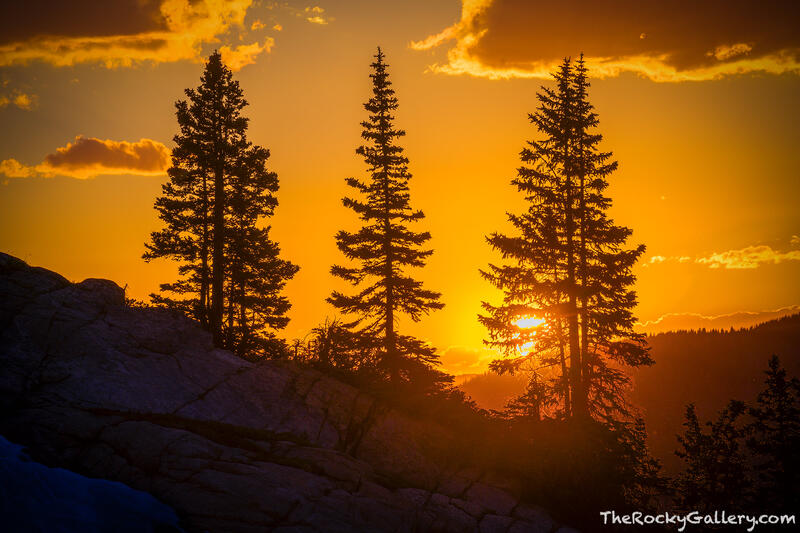 Sunset Sentinels 