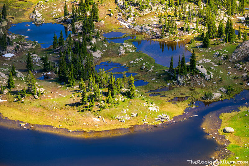Lakes and Trees 