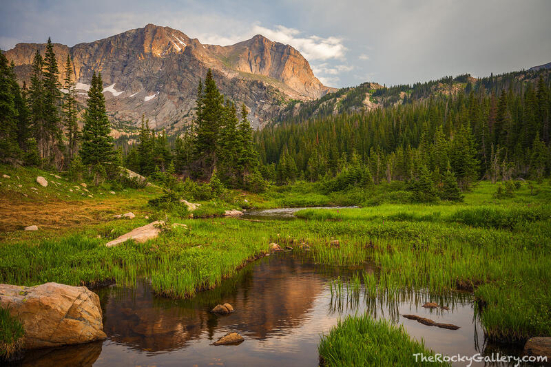 Pilot Peak,Thunder Lake,St Vrain,Wild Basin,RMNP,Allenspark,Boulder County,Colordado,Estes Park,East Side,Rocky Mountain National Park,Landscape,Photo,July