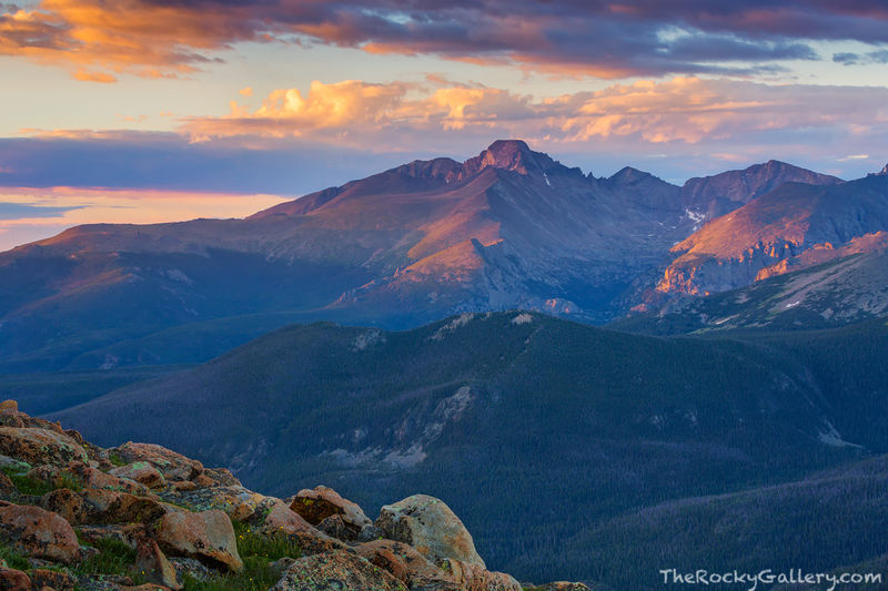 Ute View