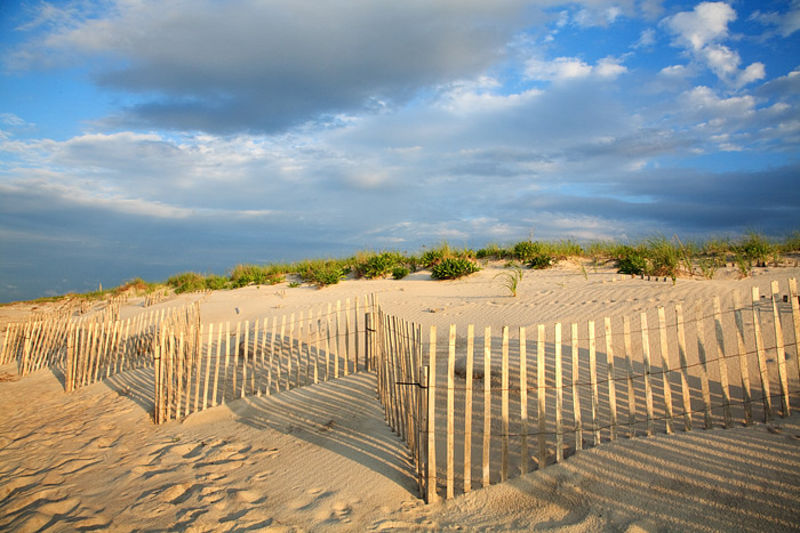 Dune Fence, Watermill Beach