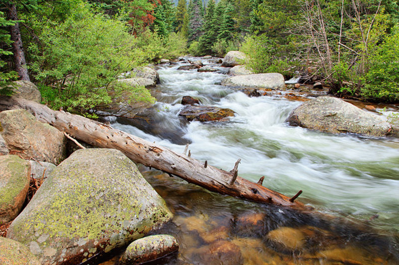 Wild Basin and the Saint Vrain Creek