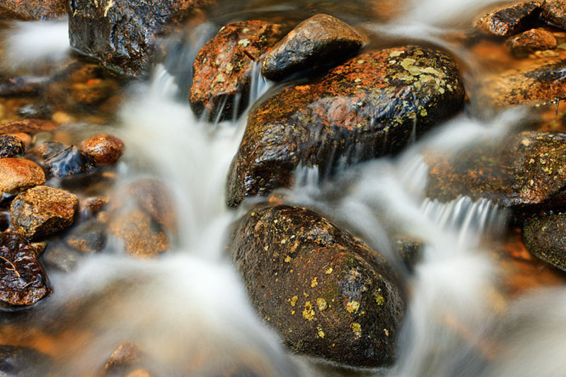 Copper And Cony Creek