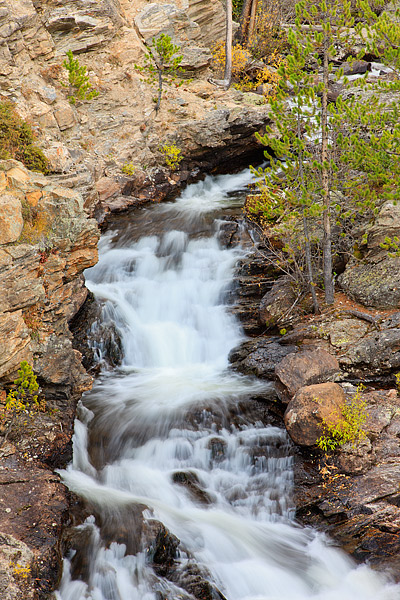 Just a half a mile or so from the shore of Grand Lake lies Adams Falls. Located on the west side of Rocky Mountain National Park...