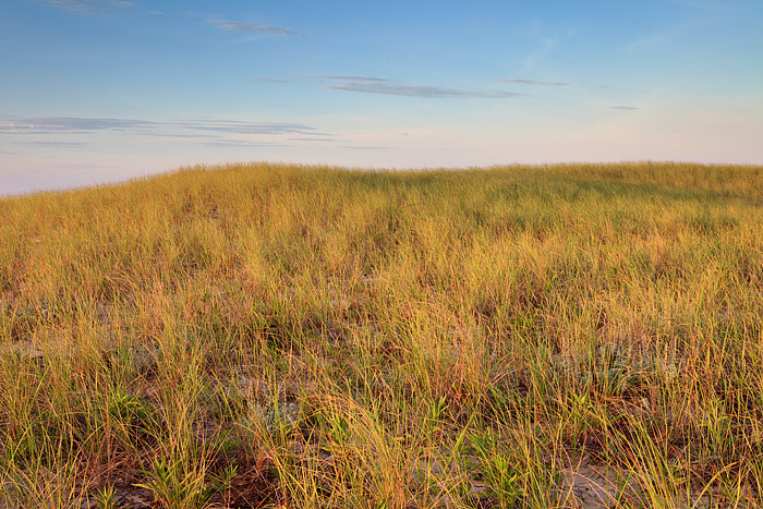Dune grass shows off it's late Summer golden hue as high wispy clouds skirt over the Ocean and Beach. Just over the rise lies...