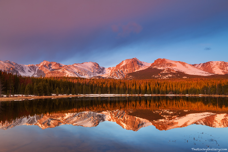 It doesn't get much more beautiful than this. All the elements came together for me this morning at Rocky Mountain National Park...