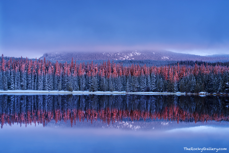 What a morning to remember this was at Bierstadt Lake. A late April spring snow had fallen the previous night and covered Rocky...