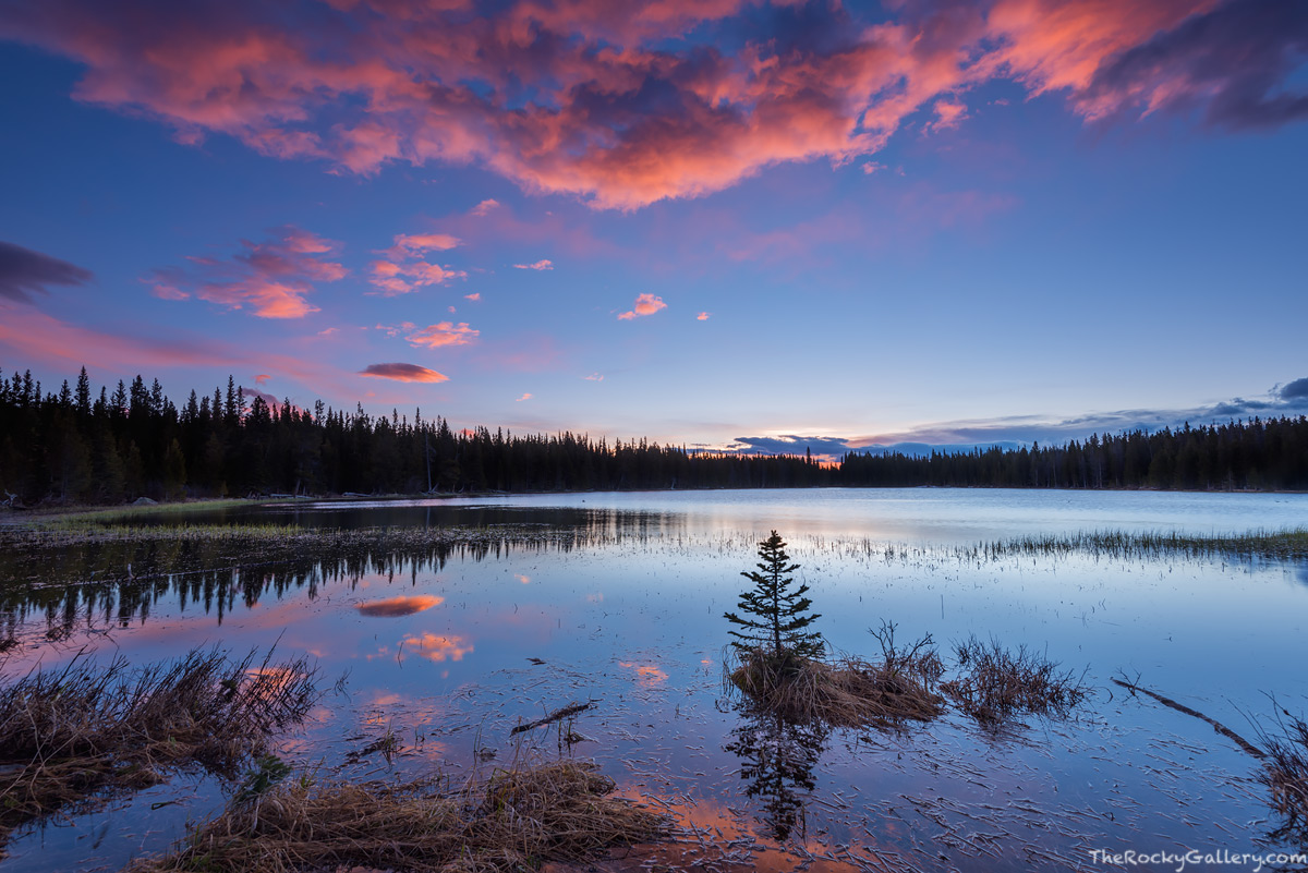 Bierstadt Lake is a favorite location of mine for photography in Rocky Mountain National Park. I just cant seem to get enough...