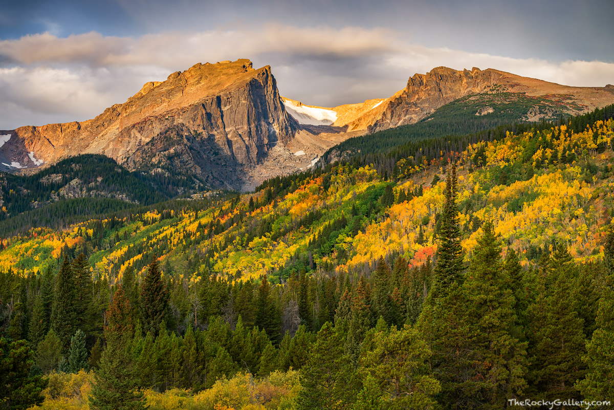 The autumn color is in all its splendor along the Bierstadt Moraine of Rocky Mountain National Park. A storm is moving in over...