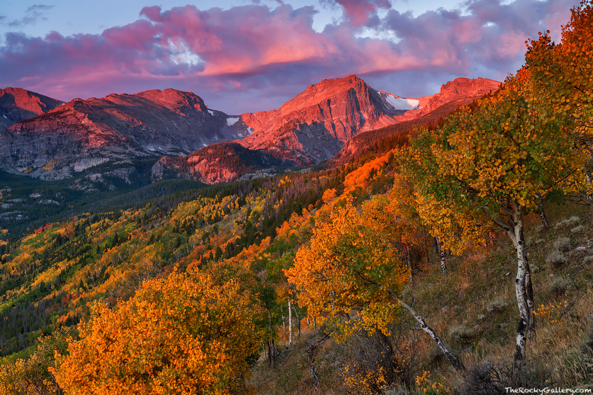 Autumn S Sweet Song Rocky Mountain National Park Colorado Thomas Mangan Photography The Rocky Gallery