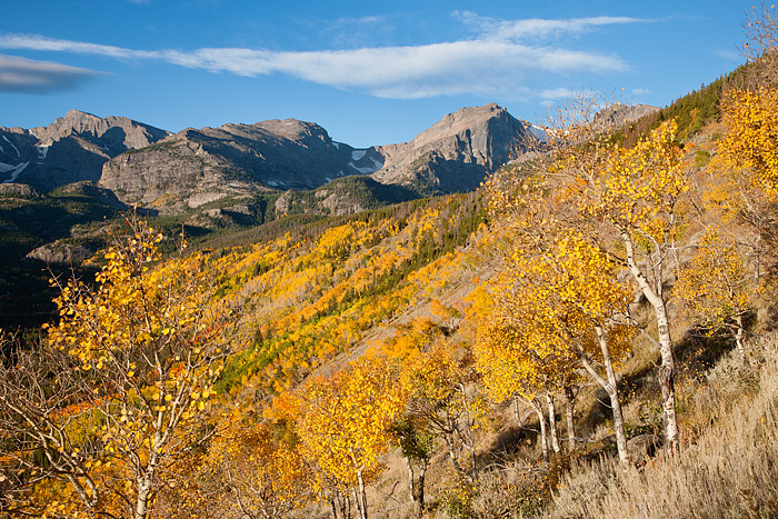 Hallet Peak welcomes the early morning sun on a beautiful autumn morning in Rocky Mountain National Park. Aspen trees all over...