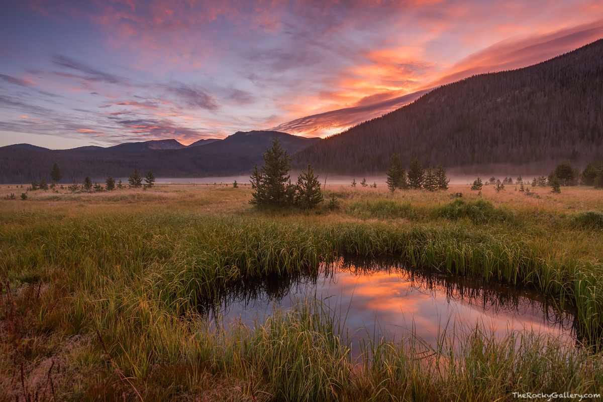 It's a cool but invigorating morning on the west side of Rocky Mountain National Park. Big Meadows is still as fog wafts through...