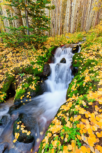 Rocky Mountain National Park's Boulder Brook is an awesome location for a hike amongst the Autumn splendor of Colorado's high...