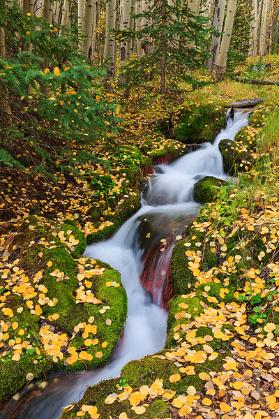 One of the most subtle, yet beautiful locations in Rocky Mountain National Park is the Boulder Brook area during the autumn season...