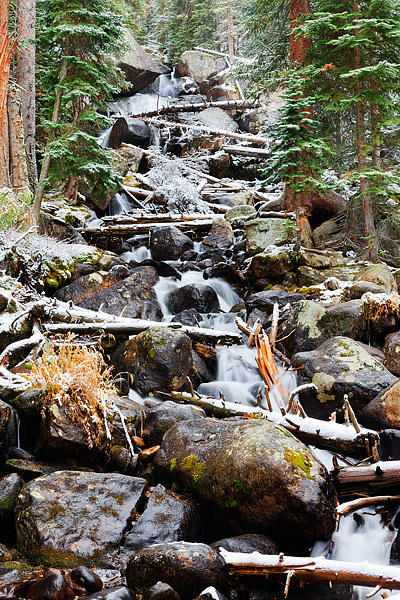 Fresh snow covers the rocks and blow down covering Calypso Cascades in Wild Basin. Calypso Cascades is a popular hike in the...