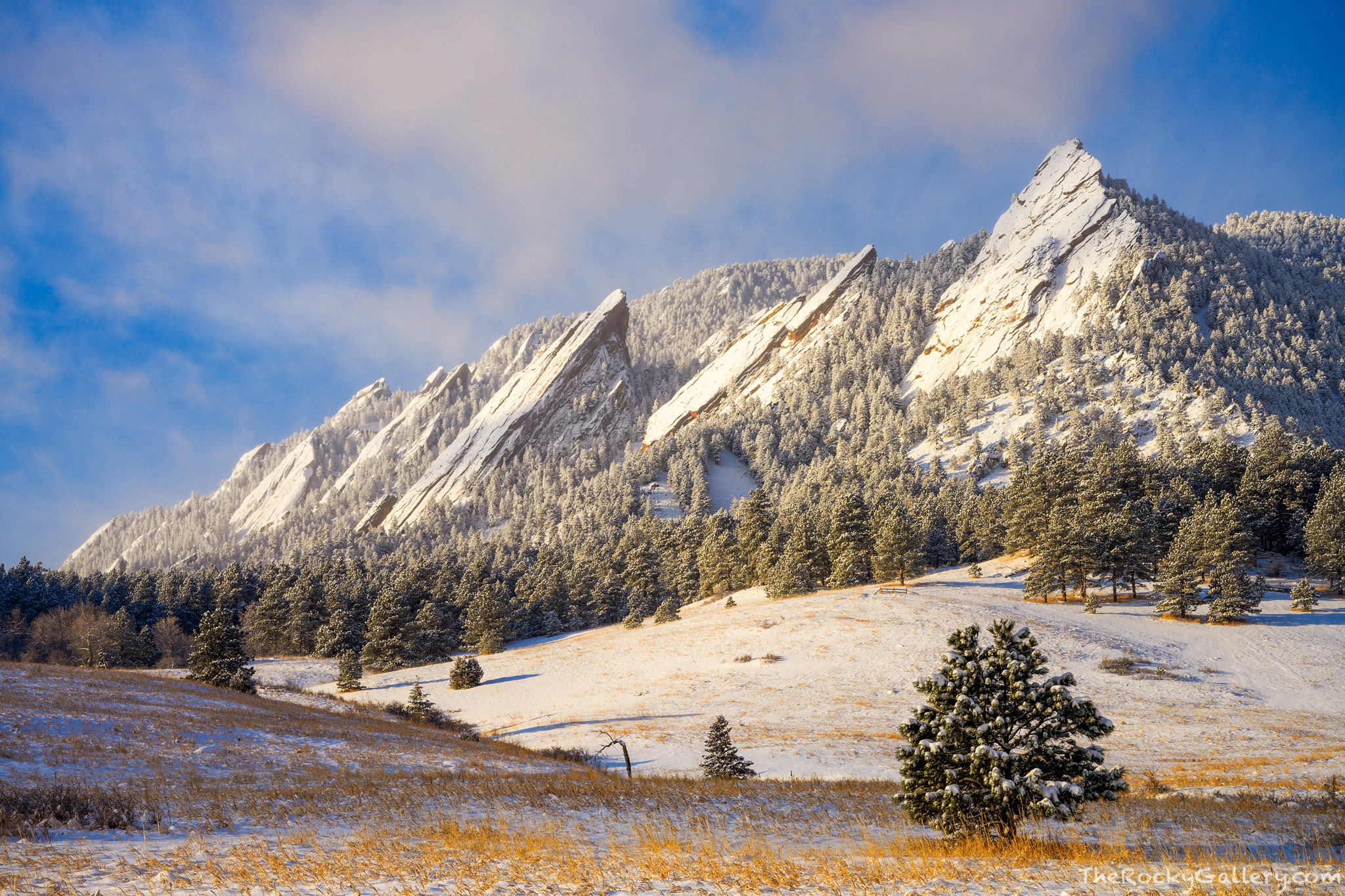wintering-chautauqua-boulder-colorado-thomas-mangan-photography