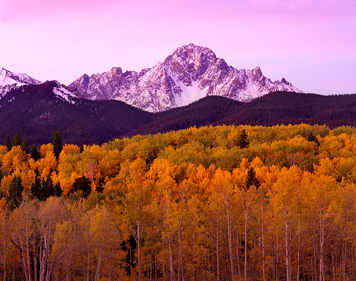 Alpenglow lights up Mt. Sneffels in a magenta hue. This view is taken a few miles up County Road 5.