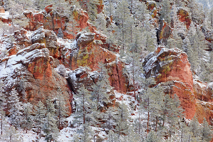 Snow and Hoar frost clings to the tree's along the slopes of Boulder's Crown Rock formation on Flagstaff Mountain. The reddish...