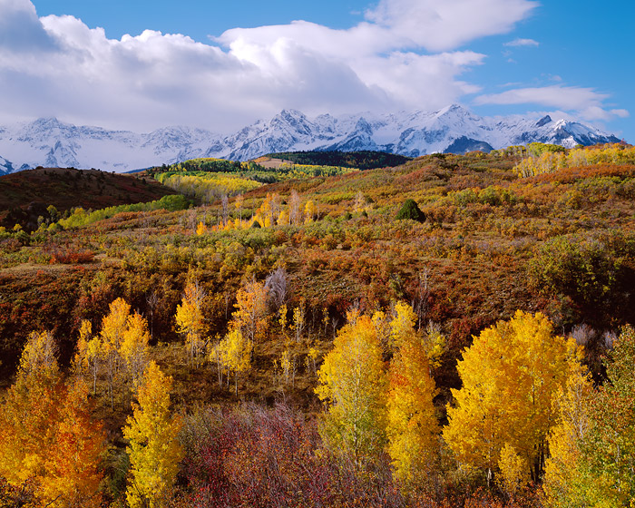 Fall on the Dallas Divide. Just outside of Ridgeway, the view is popular with tourists and photographers alike traveling between...