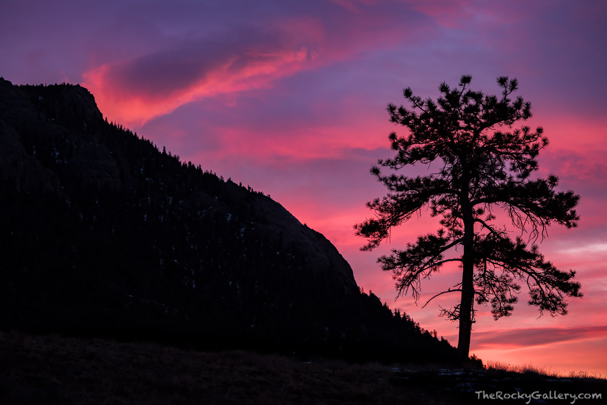 Winter skies in Rocky Mountain National Park produce some of the most stunning sunrises found anywhere on the continent. On a...