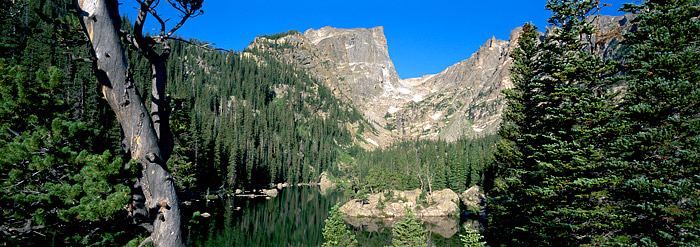 Peaceful morning at Dream Lake. An old pine frames Hallet Peak from this location. Sadly this pine has since fallen and the scene...