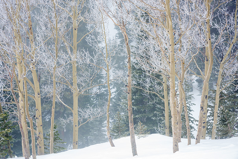 It was a cold January day as I started my hike up to Dream Lake for sunrise. Fog and snow had drifted into Rocky Mountain National...