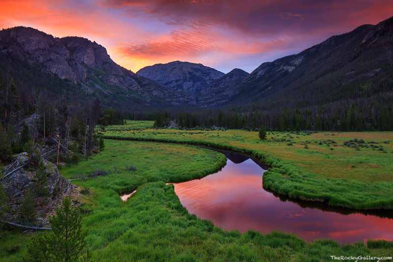 East Inlet flows through East Meadow on the west side of Rocky Mountain National Park. East Meadows grasses are a vibrant green...