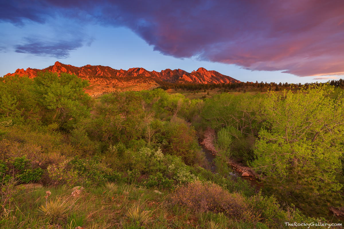 Spring has sprung along the banks of South Boulder Creek near Eldorado Springs on a stunning May morning. Vibrant green trees...