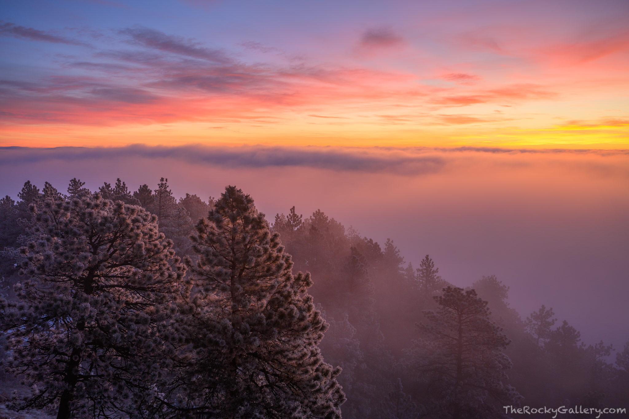 Morning just above the clouds as well as Boulder. A thick layer of fog covers Boulder, Colorado at sunrise but up on Flagstaff...