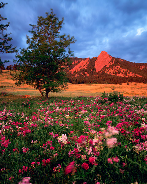 Sunlight briefly touches the Flatirons in Chautaugua Park. On this morning a clouds covered the entire sky. To the east I had...