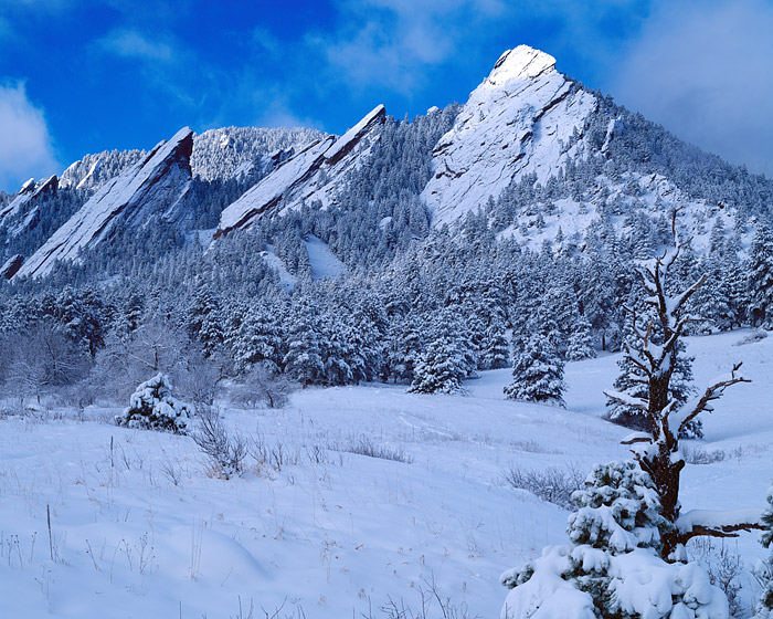 Fresh snow coats the Flatirons and adjacent meadow. This meadow is located in Chautauqua Park and is one of Boulder's scenic...