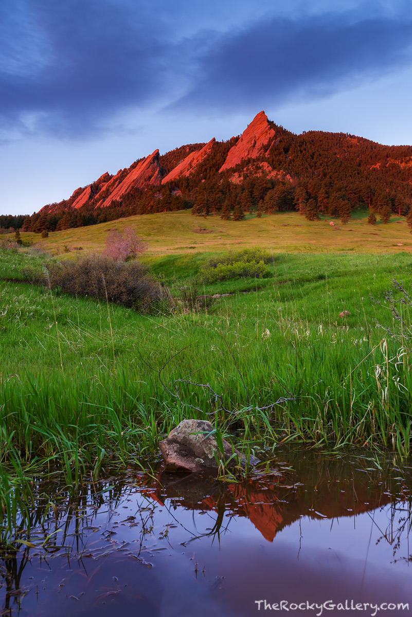 If we have enough moisture during the spring season, this small pond forms in Chautauqua Meadow at the base of the Boulder Flatirons...