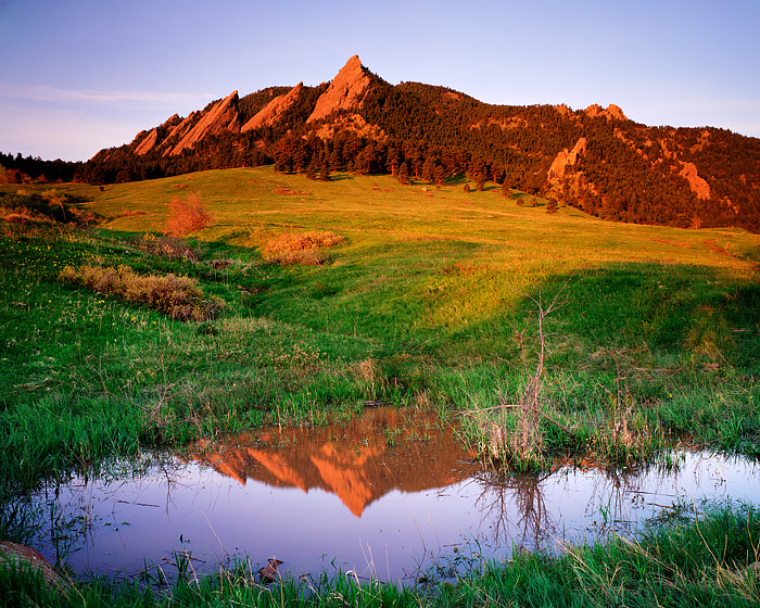 Once every few years, when Boulder has an unusually rainy spring, a small pond forms in Chautauqua Park from the runoff and moisture...