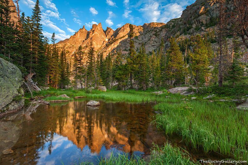 Flattop Mountain reflect in a mountain tarn just below Emerald Lake in Rocky Mountain National Park. The green grasses of the...