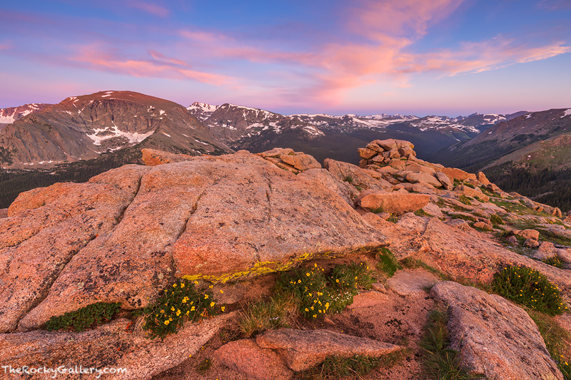 High above Forest Canyon a new day is dawning over Rocky Mountain National Park. A glorious sunrise colors the high peaks of...