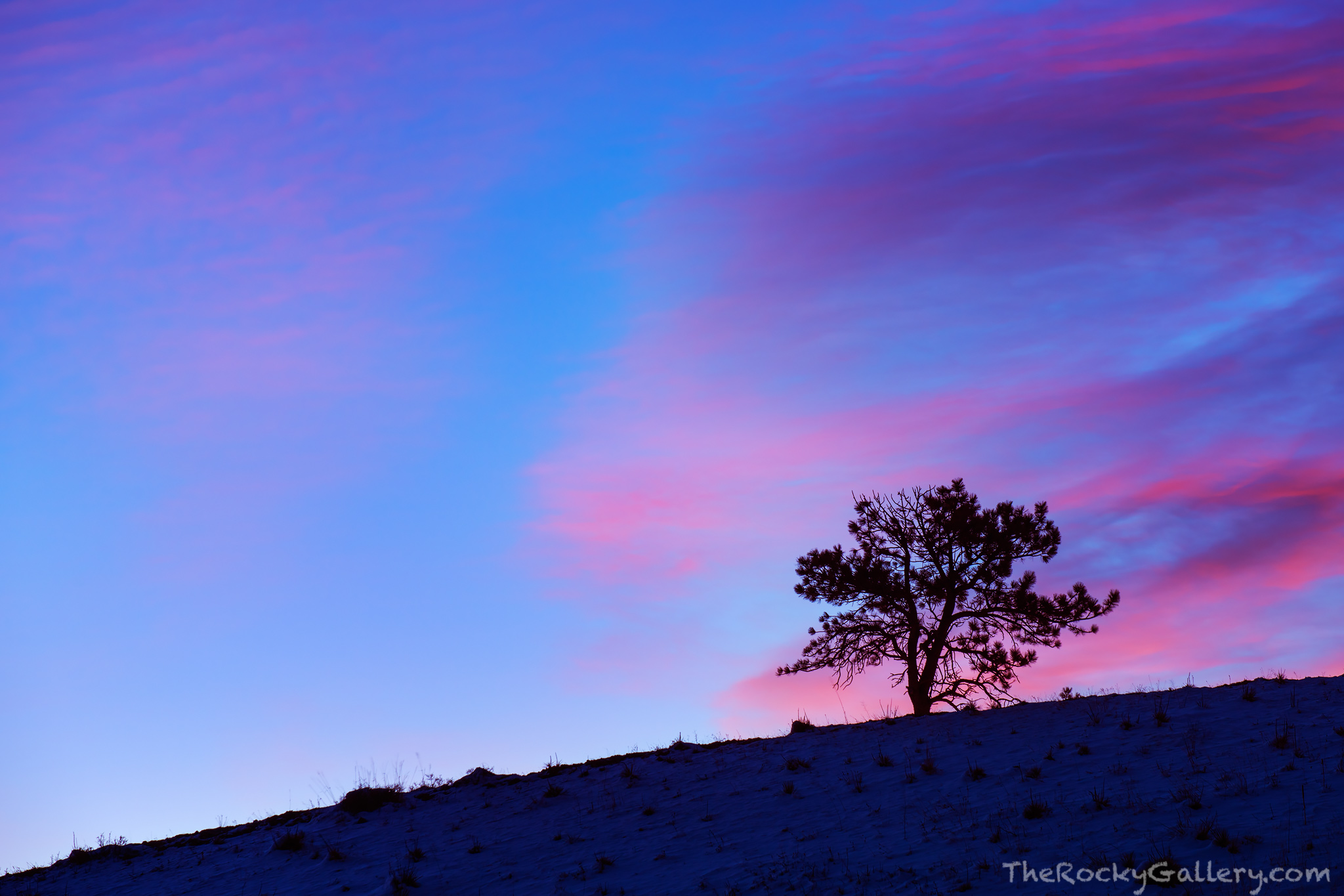 Sunrise reveals a colorful sky over Boulder,Colorado near Four Mile Creek Open Space. The pastels in the sky appear as if created...