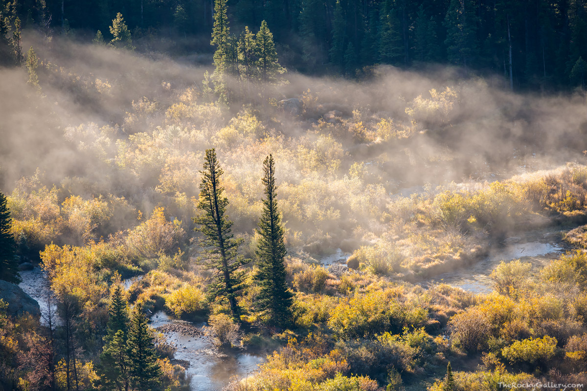 One of the best locations for fall color in Rocky Mountain National Park is the Bierstadt Moraine are near Bear Lake Road. Aspen...