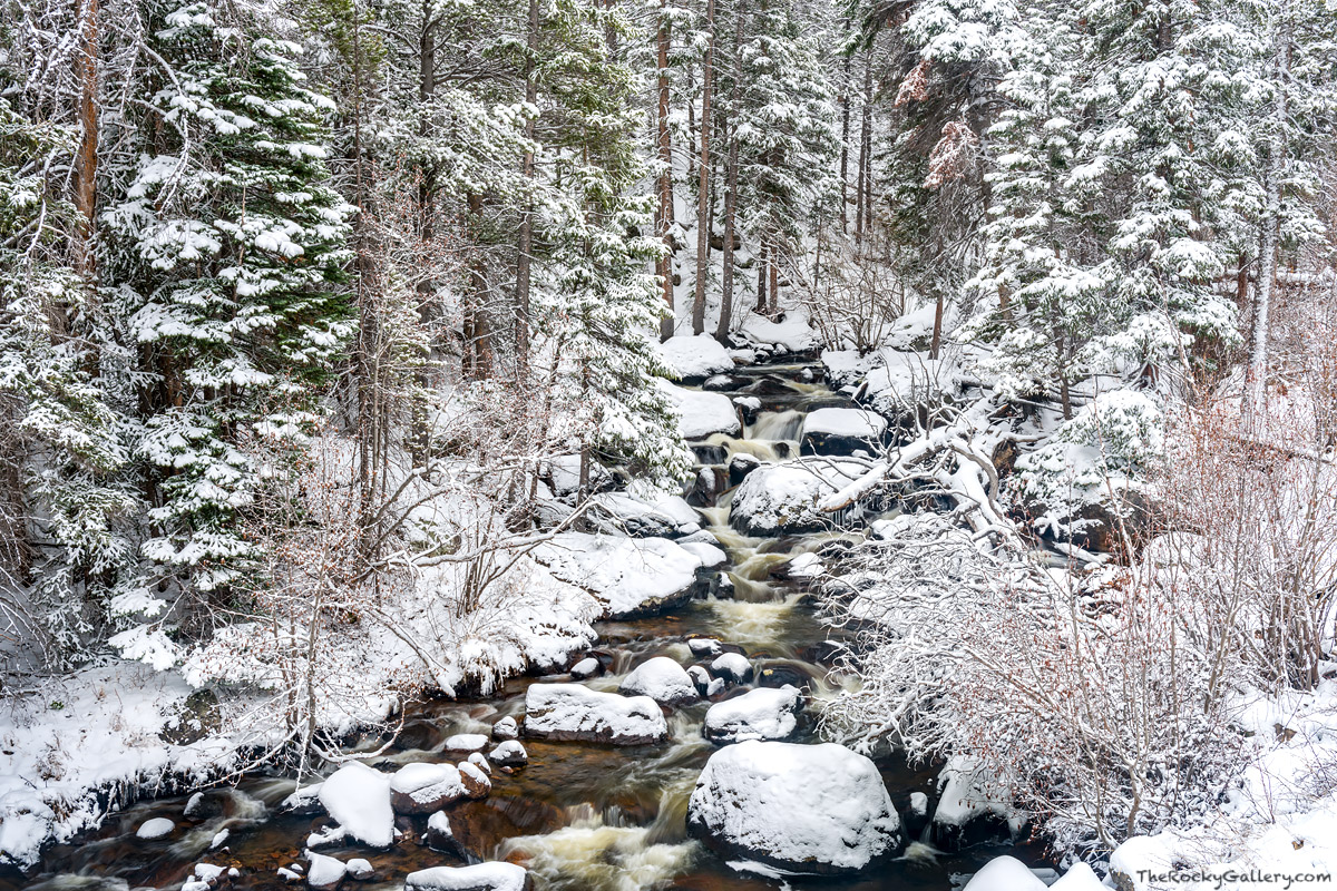 A later April spring snowstorm has covered the banks of Glacier Creek turning Rocky Mountain National Park into a winter like...