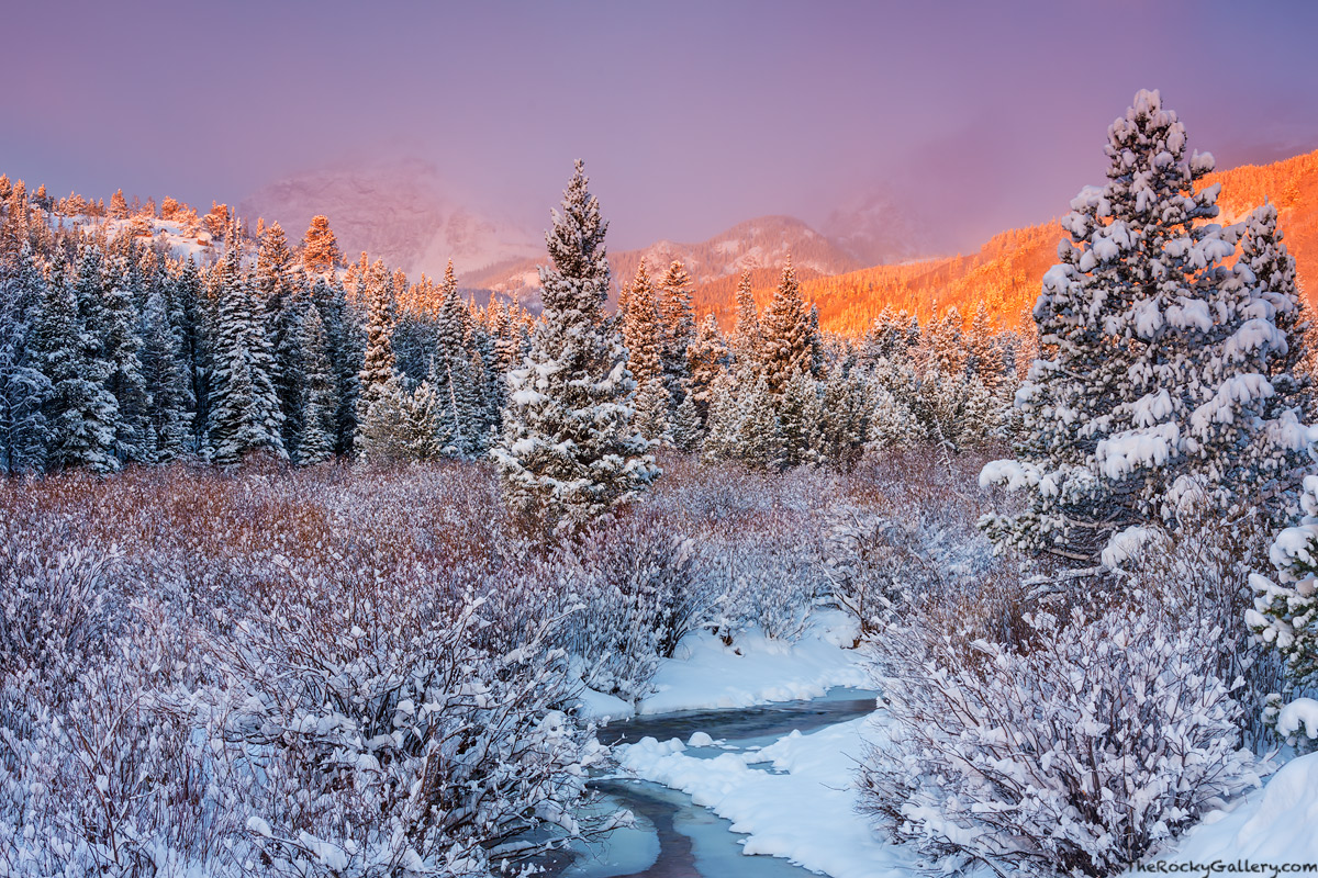 An April snowstorm has blanketed Rocky Mountain National Park with snow and turned the landscape into scene from a Christmas...