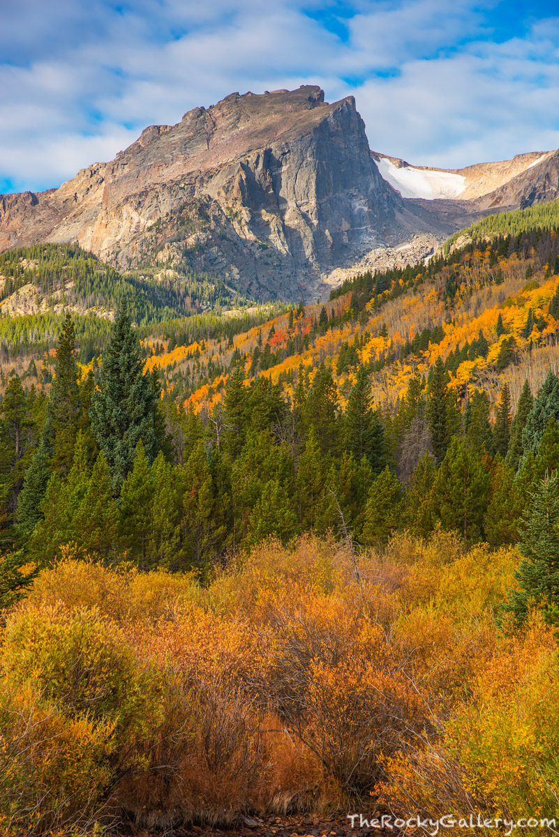 On a beautiful autumn morning in Rocky Mountain National Park, Hallett Peak shimmers amongst the fall color that has graced the...